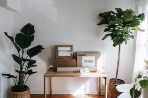 Discover Our Packing Services
