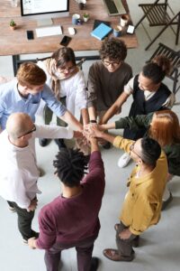 Expert Team and services