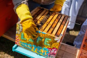 Hiring Crate for removals